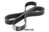 ASHIKA 112-7PK1735 V-Ribbed Belts